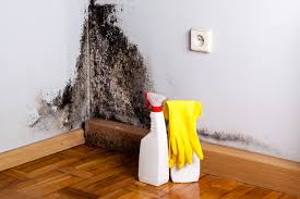 Best Industrial Mold Remediation  in USA